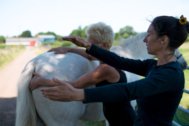 2e267344ad6c1355753e2e8269c5b7cb