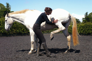 2e267344ad6c1355753e2e8269c5b7cb