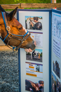 2e267344ad6c1355753e2e8269c5b7cb