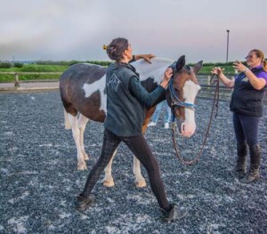 2e267344ad6c1355753e2e8269c5b7cb