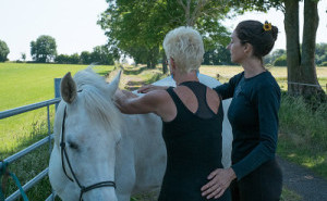 2e267344ad6c1355753e2e8269c5b7cb